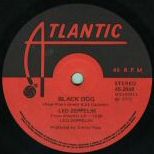 Black Dog 2849