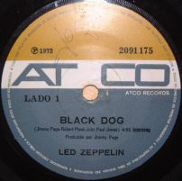 Black Dog 2091175