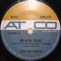 Black Dog 2091175