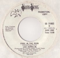Fool In The Rain 71003 promo