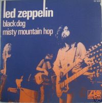 Black Dog 10 103