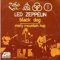 Black Dog 2091175