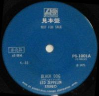 Black Dog P 1001 promo