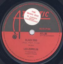 Black Dog 88