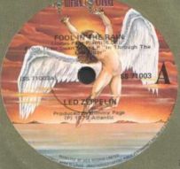 Fool In The Rain 71003