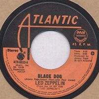 Black Dog 0033 pari