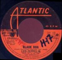Black Dog 0033 promo