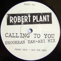 Calling To You promo Fatdj 312