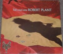 Tall Cool One 96644