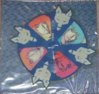 Hurting Kind 8985 picture disk