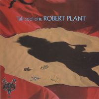 Tall Cool One A 9348