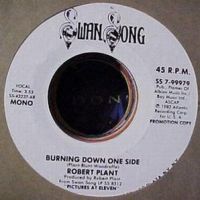 Burning Down One Side US 99979 promo
