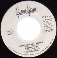 Burning Down One Side US 99979 promo