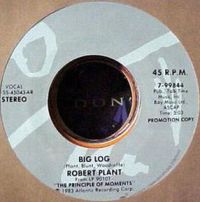 Big Log US 98447 AR promo
