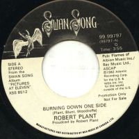 Burning Down One Side CAN promo 99797