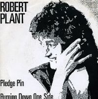 Pledge Pin FRA promo PRO 233