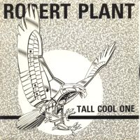 Tall Cool One SPA promo 948