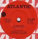 Black Dog 568