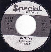 Black Dog SP 083
