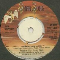 Trampled Under Foot SSK 19403